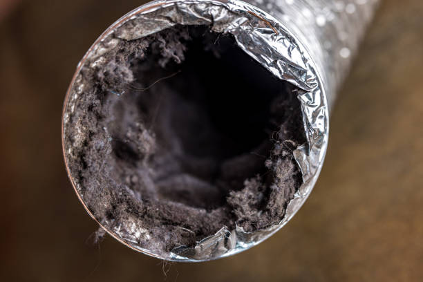 Best Air Duct Sanitizing Services  in The Village, OK
